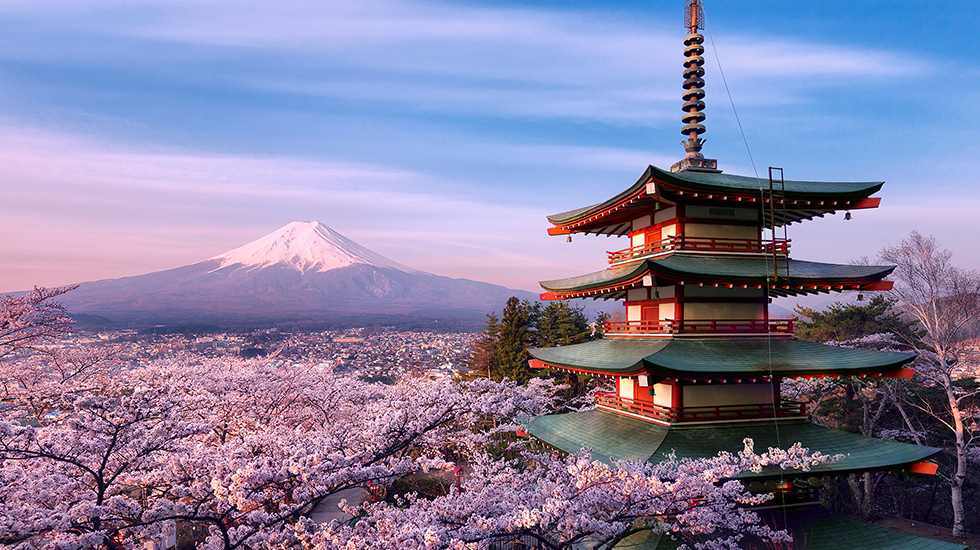 Japonya Güney Kore Turu